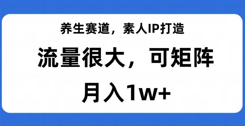 养生赛道，素人IP打造，流量很大，可矩阵，月入1w+【揭秘】-有道资源网