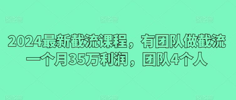 2024最新截流课程，有团队做截流一个月35万利润，团队4个人-有道资源网