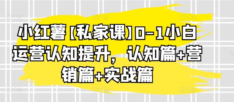 小红薯【私家课】0-1小白运营认知提升，认知篇+营销篇+实战篇-有道资源网