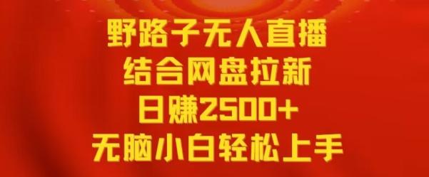 野路子无人直播结合网盘拉新，日赚2500+，小白无脑轻松上手【揭秘】-有道资源网