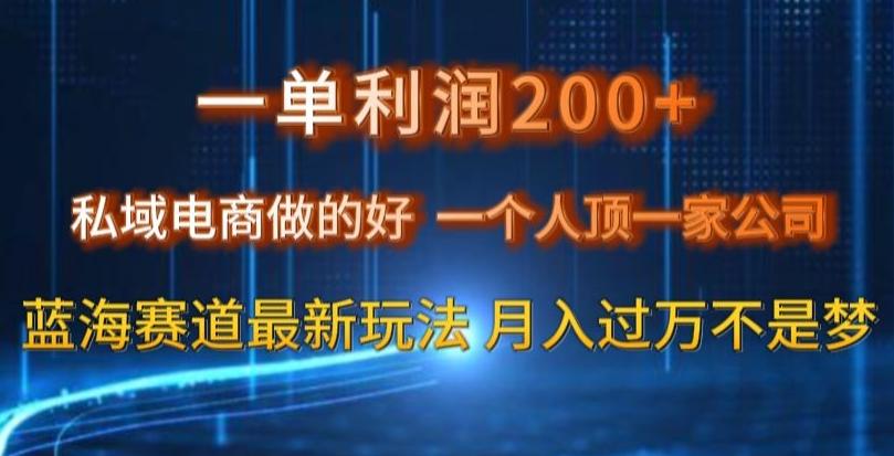 一单利润200私域电商做的好，一个人顶一家公司蓝海赛道最新玩法【揭秘】-有道资源网