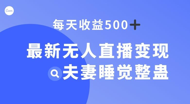 最新无人直播变现，夫妻睡觉整蛊，每天躺赚500+【揭秘】-有道资源网