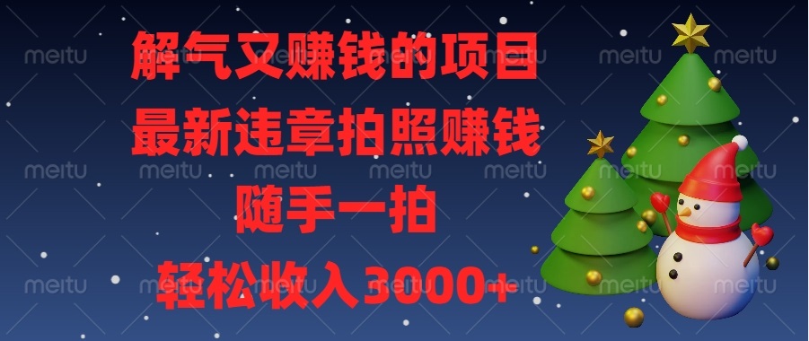 解气又赚钱的项目，最新违章拍照赚钱，随手一拍，轻松收入3000+-有道资源网