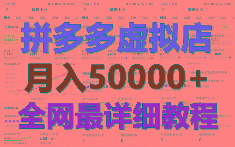 拼多多虚拟电商训练营月入50000+你也行，暴利稳定长久，副业首选-有道资源网