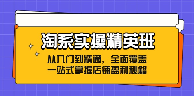 淘系实操精英班：从入门到精通，全面覆盖，一站式掌握店铺盈利秘籍-有道资源网