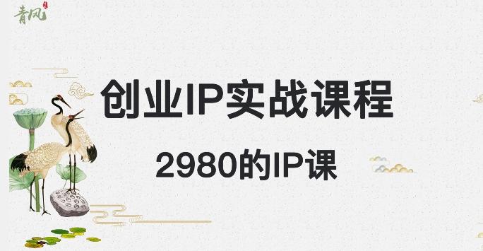 外边卖2980的创业IP课程，做私域月入5w+-有道资源网