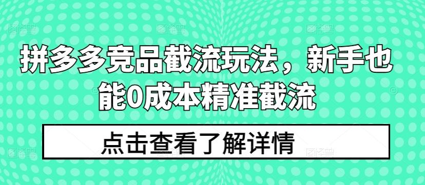 拼多多竞品截流玩法，新手也能0成本精准截流-有道资源网