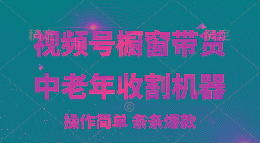 [你的孩子成功取得高位]视频号最火爆赛道，橱窗带货，流量分成计划，条…-有道资源网