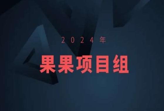 2024年果果项目组项目合集-果果最新项目-有道资源网