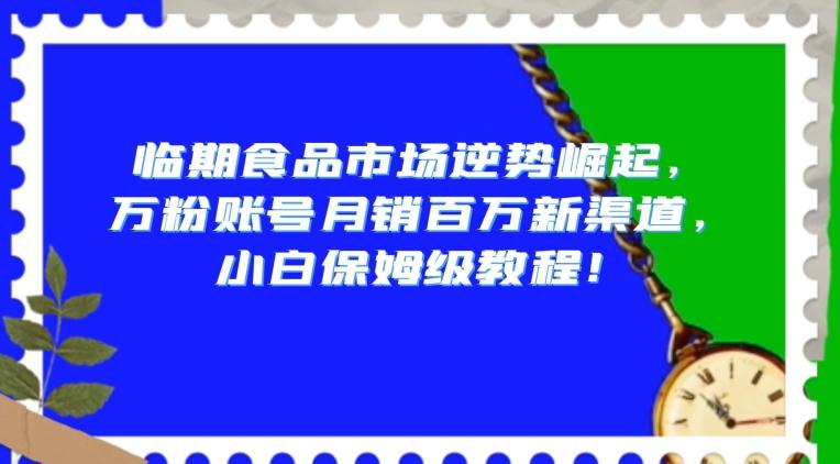 临期食品市场逆势崛起，万粉账号月销百万新渠道，小白保姆级教程【揭秘】-有道资源网