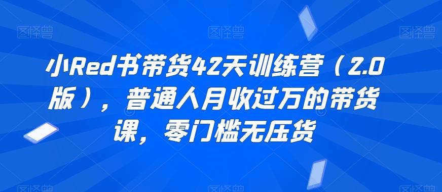 小Red书带货42天训练营(2.0版)，普通人月收过万的带货课，零门槛无压货-有道资源网