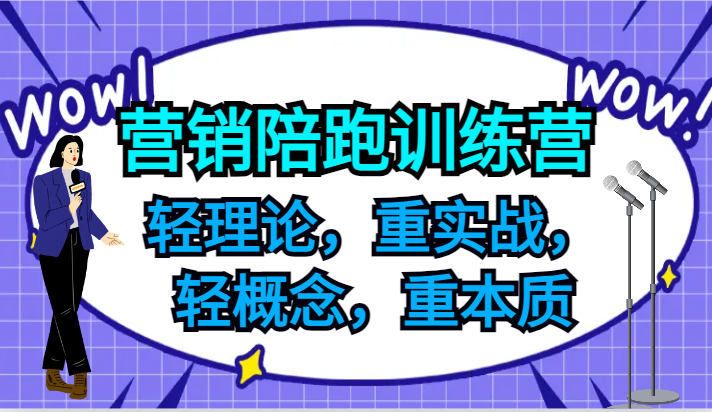 营销陪跑训练营，轻理论，重实战，轻概念，重本质，适合中小企业和初创企业的老板-有道资源网