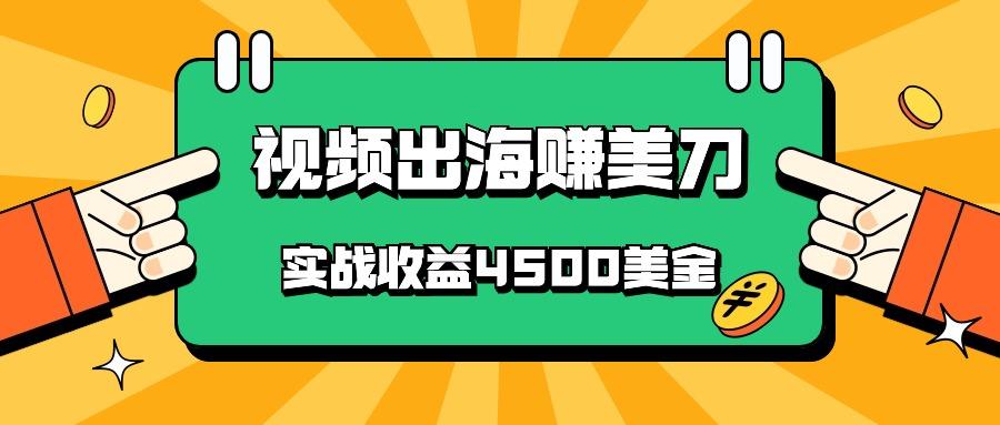 国内爆款视频出海赚美刀，实战收益4500美金，批量无脑搬运，无需经验直接上手-有道资源网