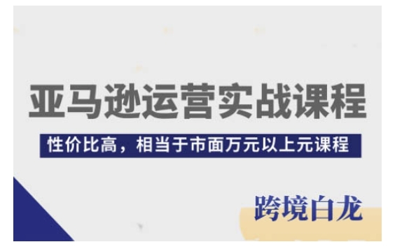 亚马逊运营实战课程，亚马逊从入门到精通，性价比高，相当于市面万元以上元课程-有道资源网