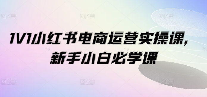 1V1小红书电商运营实操课，新手小白必学课-有道资源网