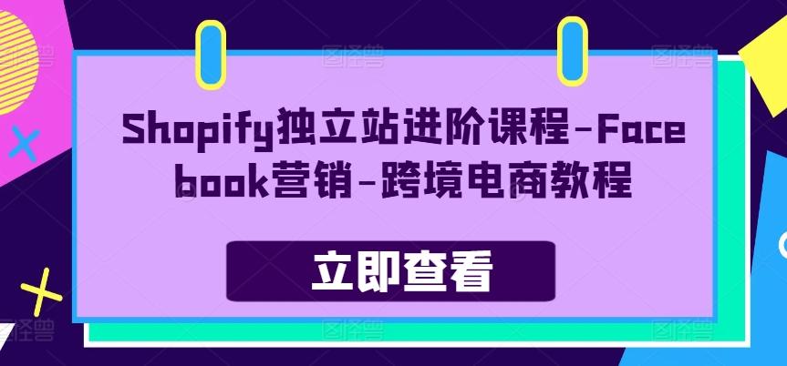 Shopify独立站进阶课程-Facebook营销-跨境电商教程-有道资源网