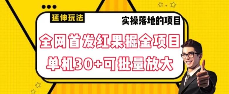 全网首发红果免费短剧掘金项目，单机30+可批量放大【揭秘】-有道资源网