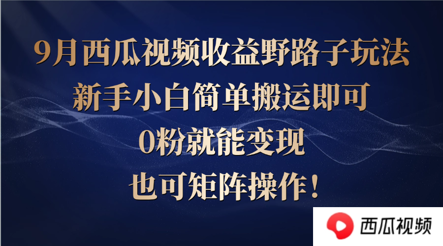 西瓜视频收益野路子玩法，新手小白简单搬运即可，0粉就能变现，也可矩…-有道资源网