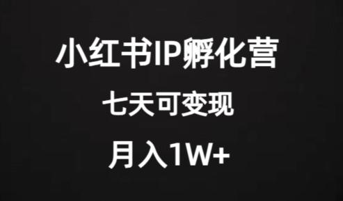 价值2000+的小红书IP孵化营项目，超级大蓝海，七天即可开始变现，稳定月入1W+-有道资源网