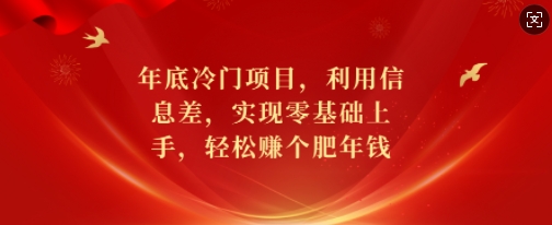 年底冷门项目，利用信息差，实现零基础上手，轻松赚个肥年钱【揭秘】-有道资源网