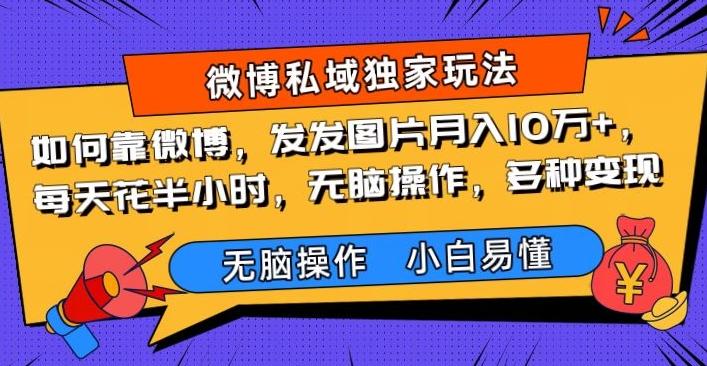 如何靠微博，发发图片月入10万+，‌每天花半小时，无脑操作，多种变现-有道资源网