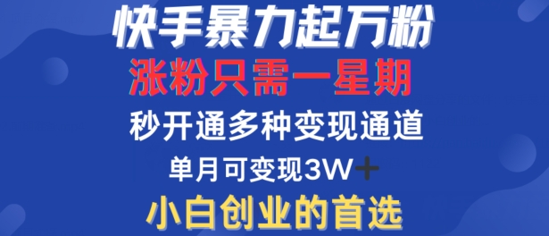 快手暴力起万粉，涨粉只需一星期，多种变现模式，直接秒开万合，单月变现过W【揭秘】-有道资源网