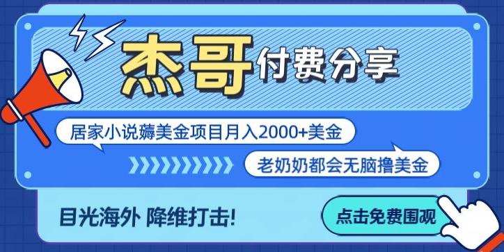 拆解海外撸美金项目月入2000美刀详细指导-有道资源网