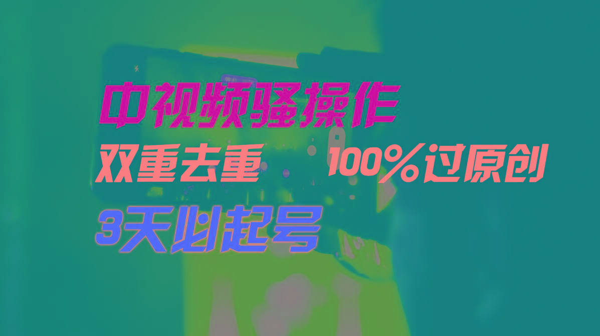 中视频骚操作，双重去重100%过原创，3天比必起号，简单无脑，月入3W+-有道资源网