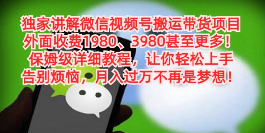 独家讲解微信视频号搬运带货项目，保姆级详细教程-有道资源网