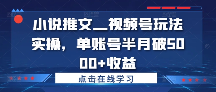 小说推文—视频号玩法实操，单账号半月破5000+收益-有道资源网