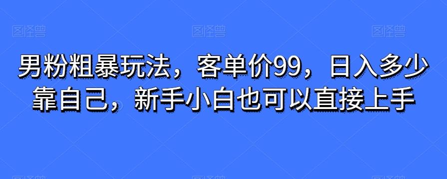 男粉粗暴玩法，客单价99，日入多少靠自己，新手小白也可以直接上手-有道资源网