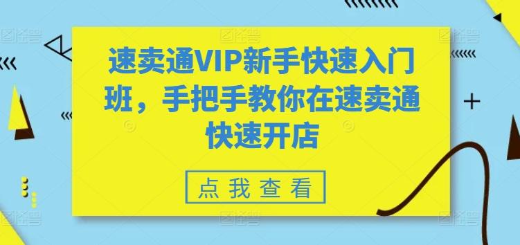 速卖通VIP新手快速入门班，手把手教你在速卖通快速开店-有道资源网