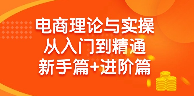 (9576期)电商理论与实操从入门到精通 新手篇+进阶篇-有道资源网