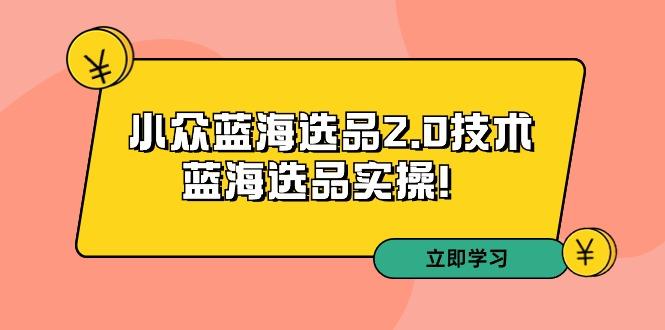 拼多多培训第33期：小众蓝海选品2.0技术-蓝海选品实操！-有道资源网