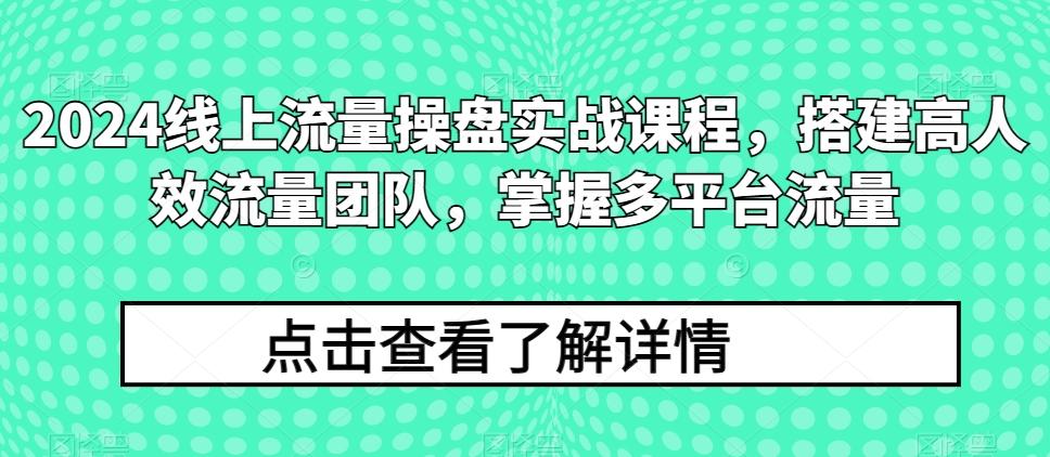 2024线上流量操盘实战课程，搭建高人效流量团队，掌握多平台流量-有道资源网