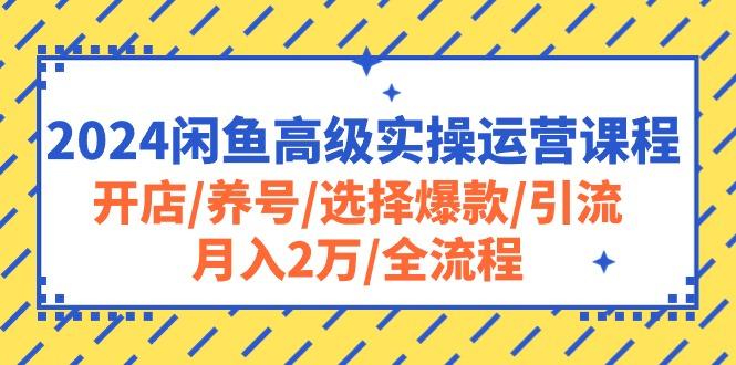 2024闲鱼高级实操运营课程：开店/养号/选择爆款/引流/月入2万/全流程-有道资源网