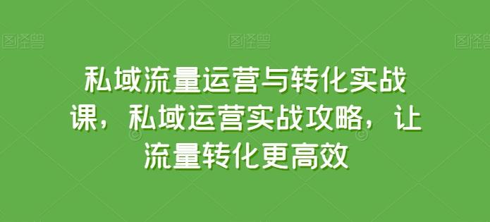 私域流量运营与转化实战课，私域运营实战攻略，让流量转化更高效-有道资源网