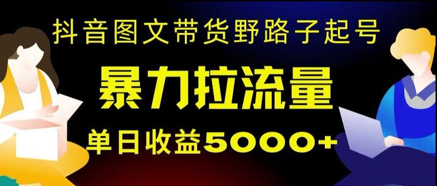 抖音图文带货暴力起号，单日收益5000+，野路子玩法，简单易上手，一部手机即可【揭秘】-有道资源网