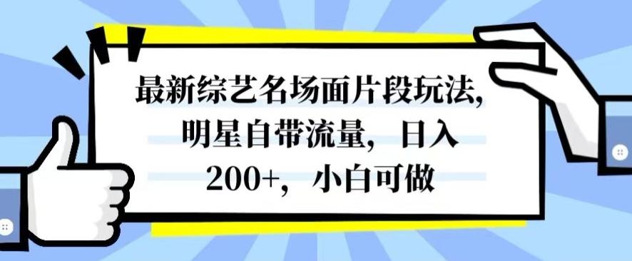 最新综艺名场面片段玩法，明星自带流量，日入200+，小白可做【揭秘】-有道资源网