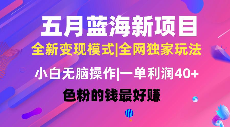 五月蓝海项目全新玩法，小白无脑操作，一天几分钟，矩阵操作，月入4万+-有道资源网