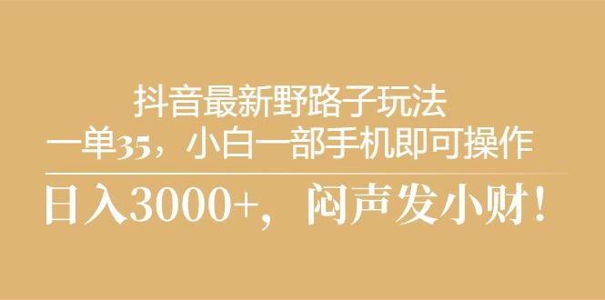 抖音最新野路子玩法，一单35，小白一部手机即可操作，，日入3000+，闷…-有道资源网