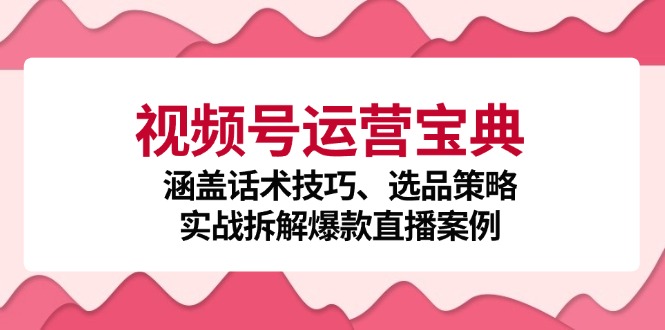 视频号运营宝典：涵盖话术技巧、选品策略、实战拆解爆款直播案例-有道资源网