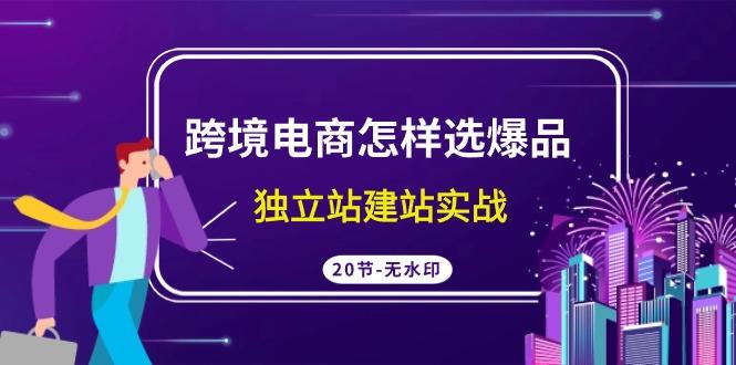 (9369期)跨境电商怎样选爆品，独立站建站实战(20节高清无水印课)-有道资源网