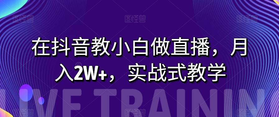 在抖音教小白做直播，月入2W+，实战式教学【揭秘】-有道资源网