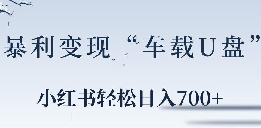 小红书“车载U盘”暴利引流，日入700+-有道资源网