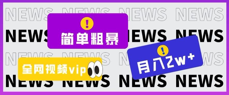 简单粗暴零成本，高回报，全网视频VIP掘金项目，月入2万＋【揭秘】-有道资源网