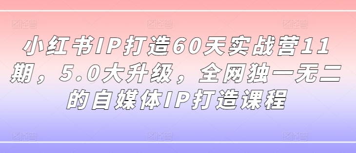 小红书IP打造60天实战营11期，5.0大升级，全网独一无二的自媒体IP打造课程-有道资源网