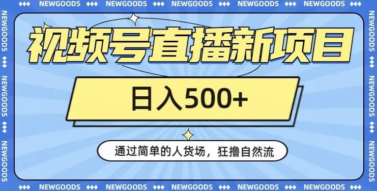 视频号直播新项目，通过简单的人货场，狂撸自然流，日入500+【260G资料】-有道资源网