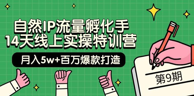 (9881期)自然IP流量孵化手 14天线上实操特训营【第9期】月入5w+百万爆款打造 (74节)-有道资源网