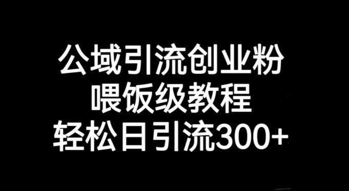 公域引流创业粉，喂饭级教程，轻松日引流300+【揭秘】-有道资源网